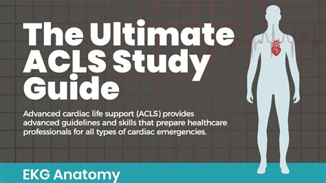 the ultimate guide to online acls training